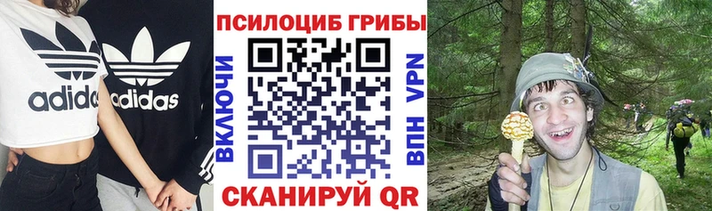 KRAKEN ССЫЛКА  Волоколамск  Галлюциногенные грибы ЛСД  сколько стоит 